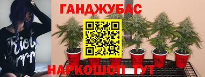 трава Нарткала